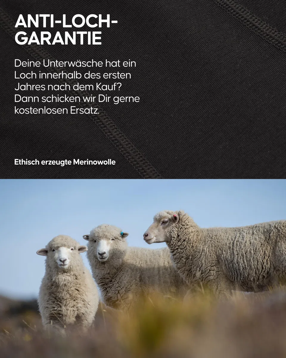 DANISH ENDURANCE Merino Boxershorts Herren (2er Pack), Merino Unterwäsche Herren, Sport & Outdoor, Geruchsfreie Unterhosen Männer, Schweißableitend & Atmungsaktiv, Mit oder ohne Eingriff