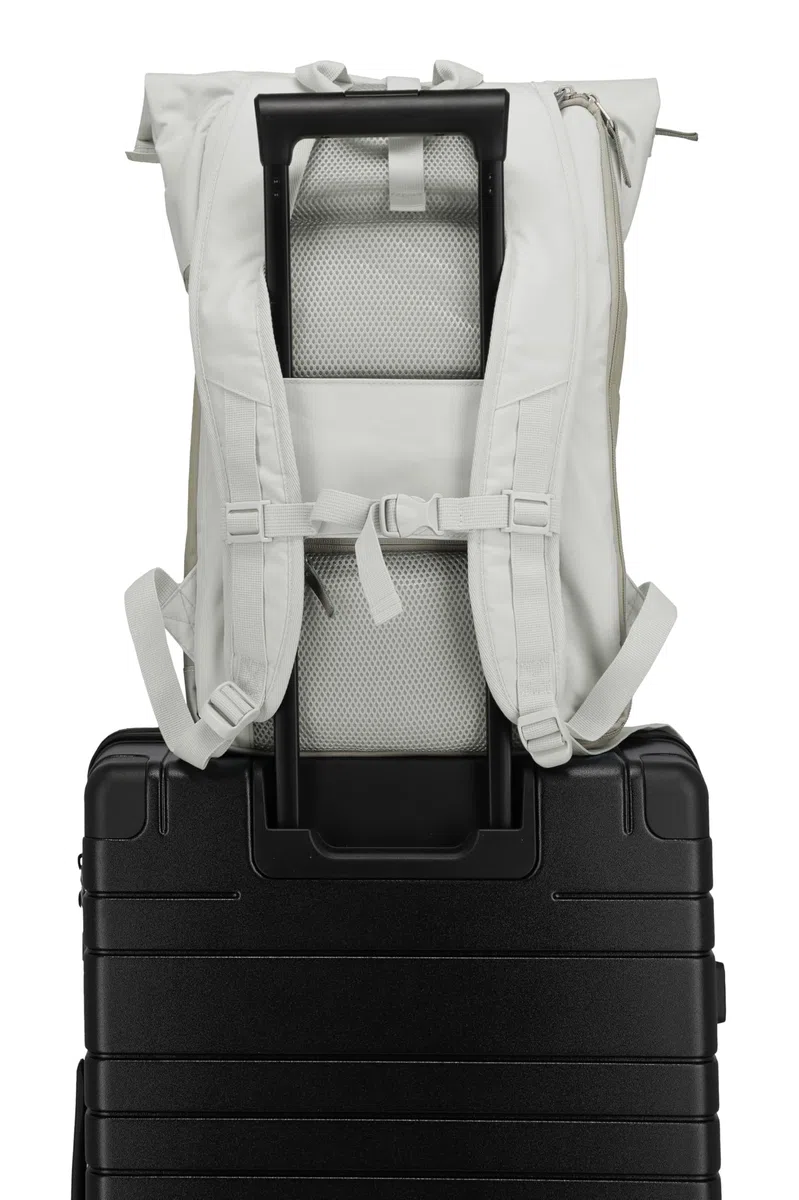 Travelite Handgepäck Rucksack, Laptop Rucksack 15,6 Zoll, BASICS, Reiserucksack Rolltop Funktion, 60 cm, 35 Liter