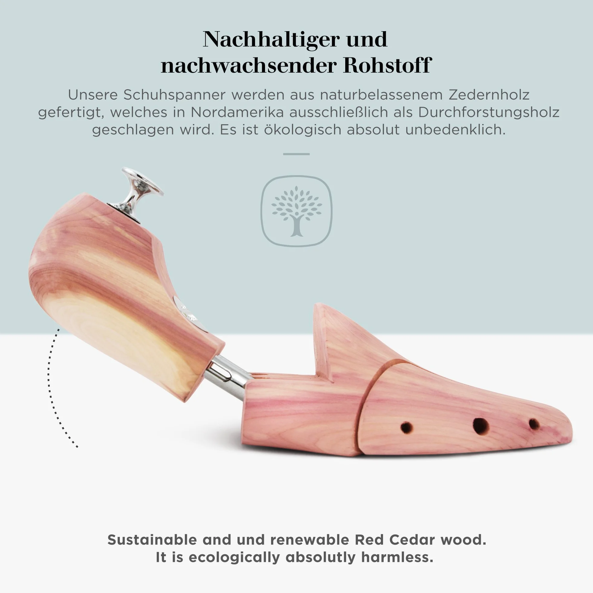 Schlesinger – 8 Paar Premium Herren Schuhspanner aus edlem Zedernholz für eine optimale Schuhpflege. Modell Kaiser. Größe 39 – 48 in Silber oder Gold.