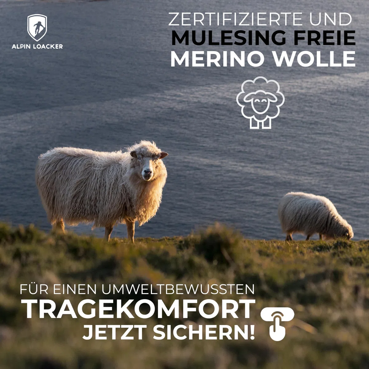 ALPIN LOACKER Merino Jacke Herren I Merinowolle Baselayer für Outdoor Sport und Freizeit I Wolljacke und Ski Midlayer