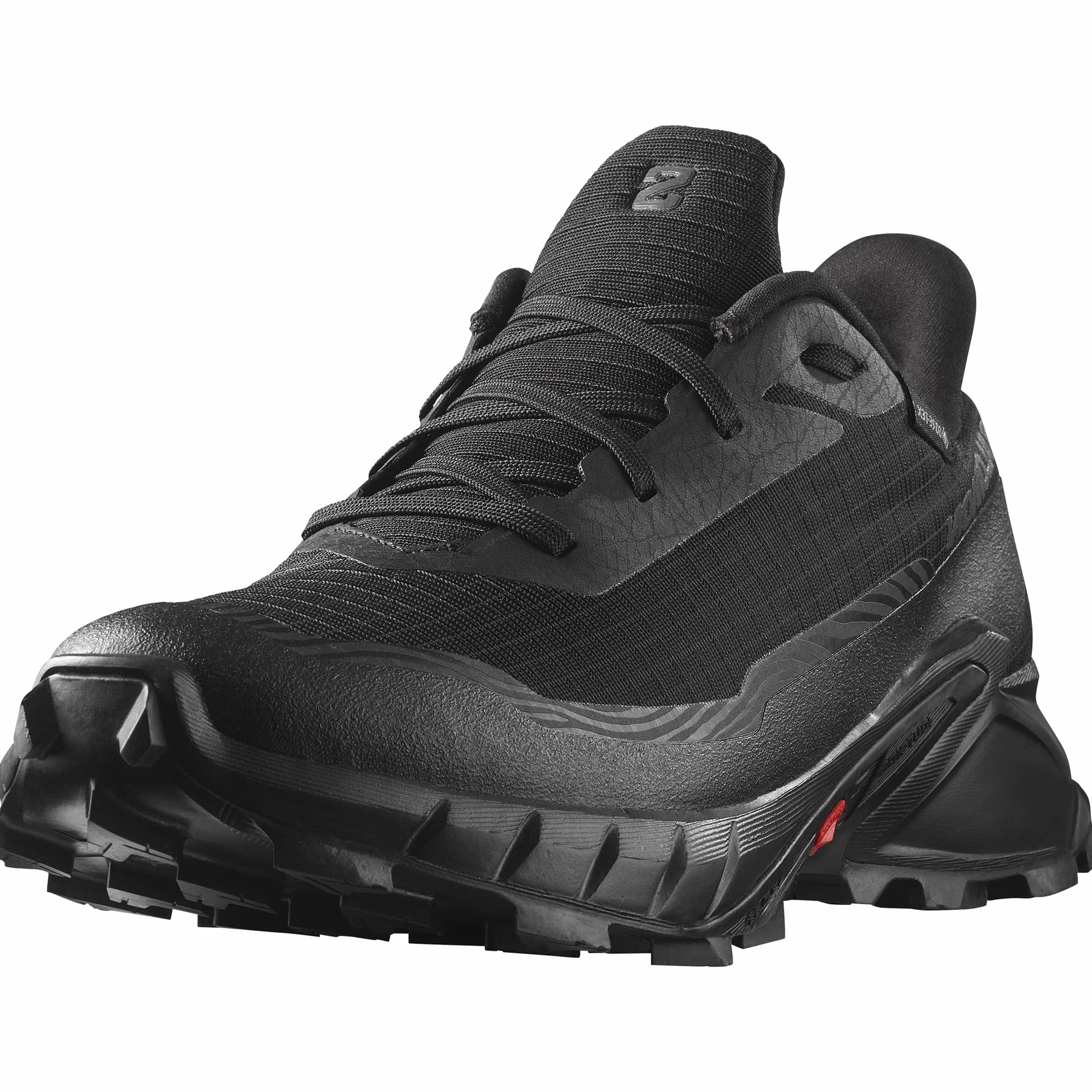 Salomon Herren Alphacross 5 Gore-texHiking Shoe