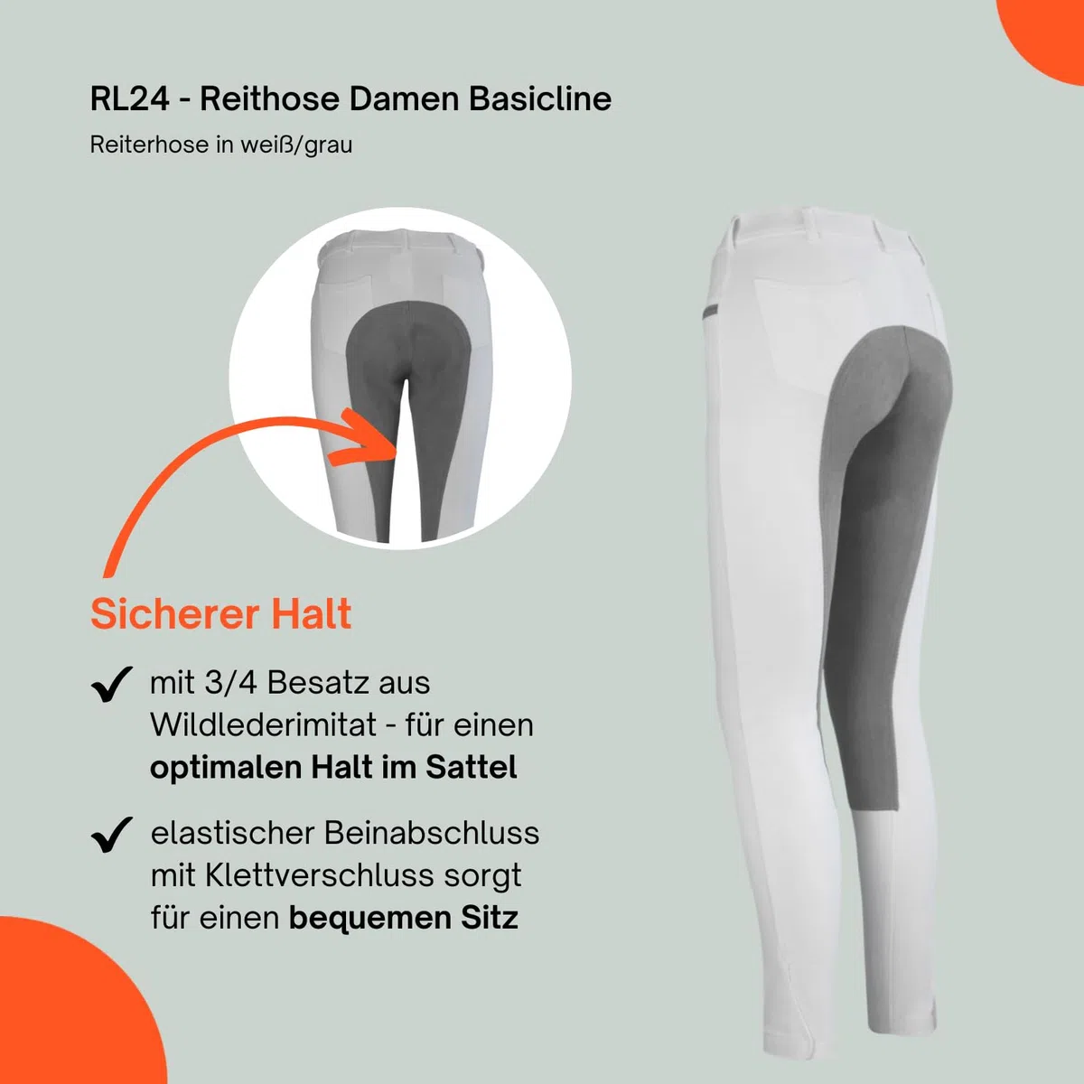 RL24 - Damen Reithose Vollbesatz BASICLINE