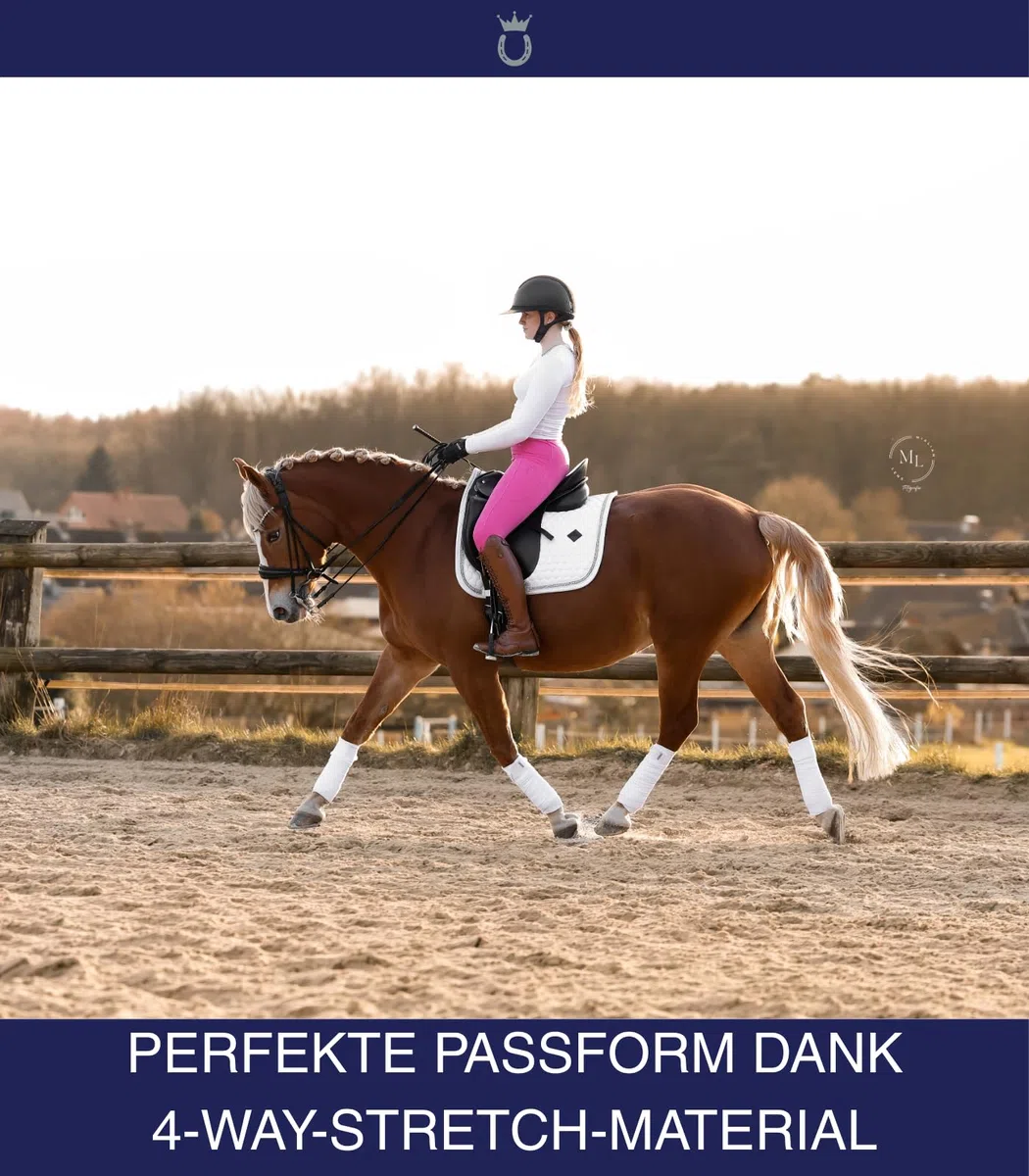 Royal Horsemen Reitleggings Damen & Mädchen (Gr. XXS-XL) - Silikon Vollbesatz - Bequeme Highwaist Reithose - Mit Handytasche und Gürtelschlaufen