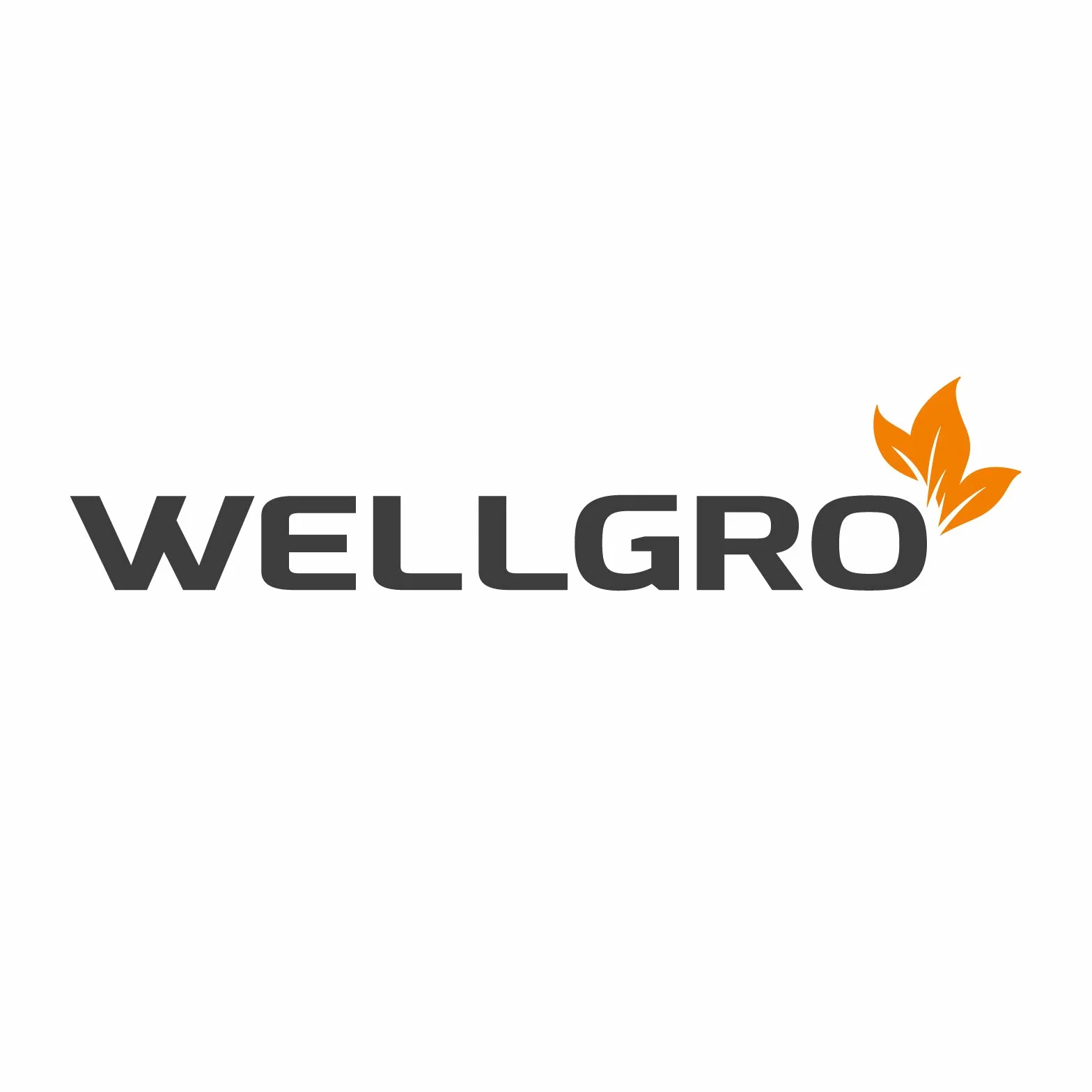 WELLGRO 12x Zylinderhut - schwarz, mit Satinband, für Erwachsene, 31 x 26 x 14 cm (LxBxH)